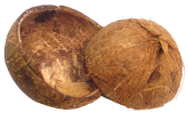 coconut-shell-png-image